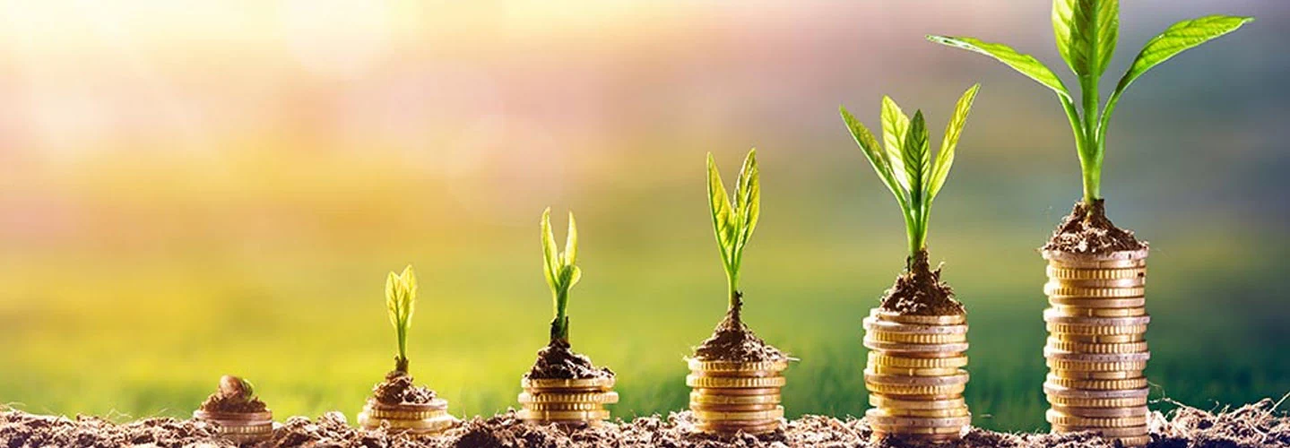 دوره‌های سرمایه‌گذاری